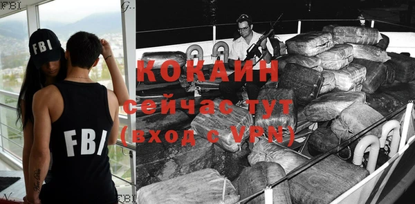 мдпв Горнозаводск