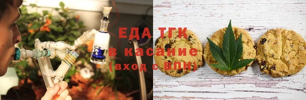 мдпв Горнозаводск