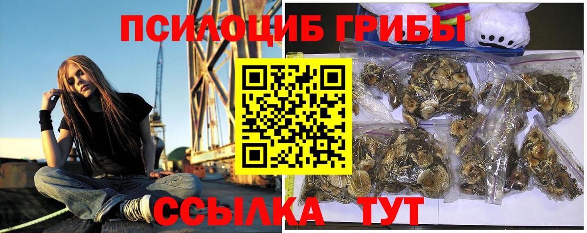 Псилоцибиновые грибы Psilocybe  где купить   Галлюциногенные грибы MAGIC MUSHROOMS  Дедовск  Вход с VPN 