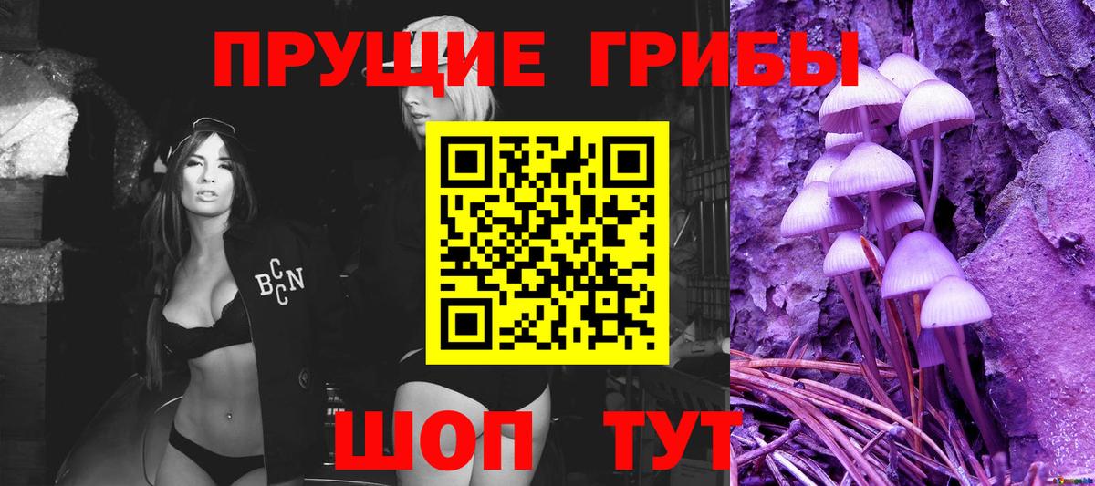 Псилоцибиновые грибы MAGIC MUSHROOMS Дедовск