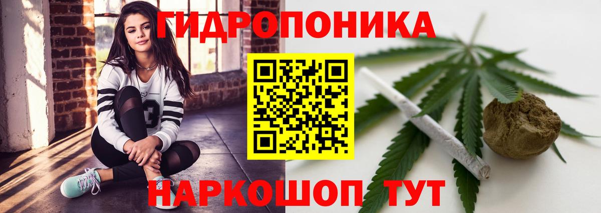Конопля индика Дедовск